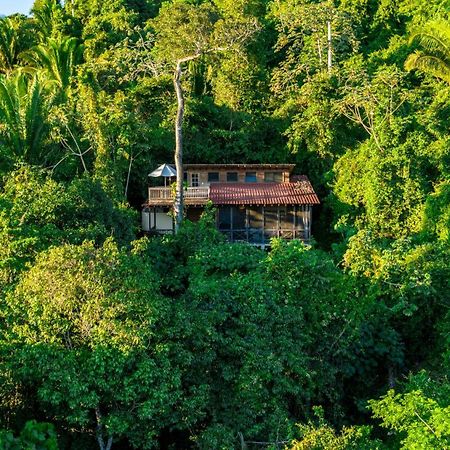 Ian Anderson Caves Branch Jungle Lodge Μπελμοπάν Εξωτερικό φωτογραφία