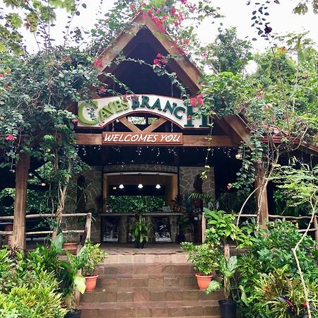 Ian Anderson Caves Branch Jungle Lodge Μπελμοπάν Εξωτερικό φωτογραφία