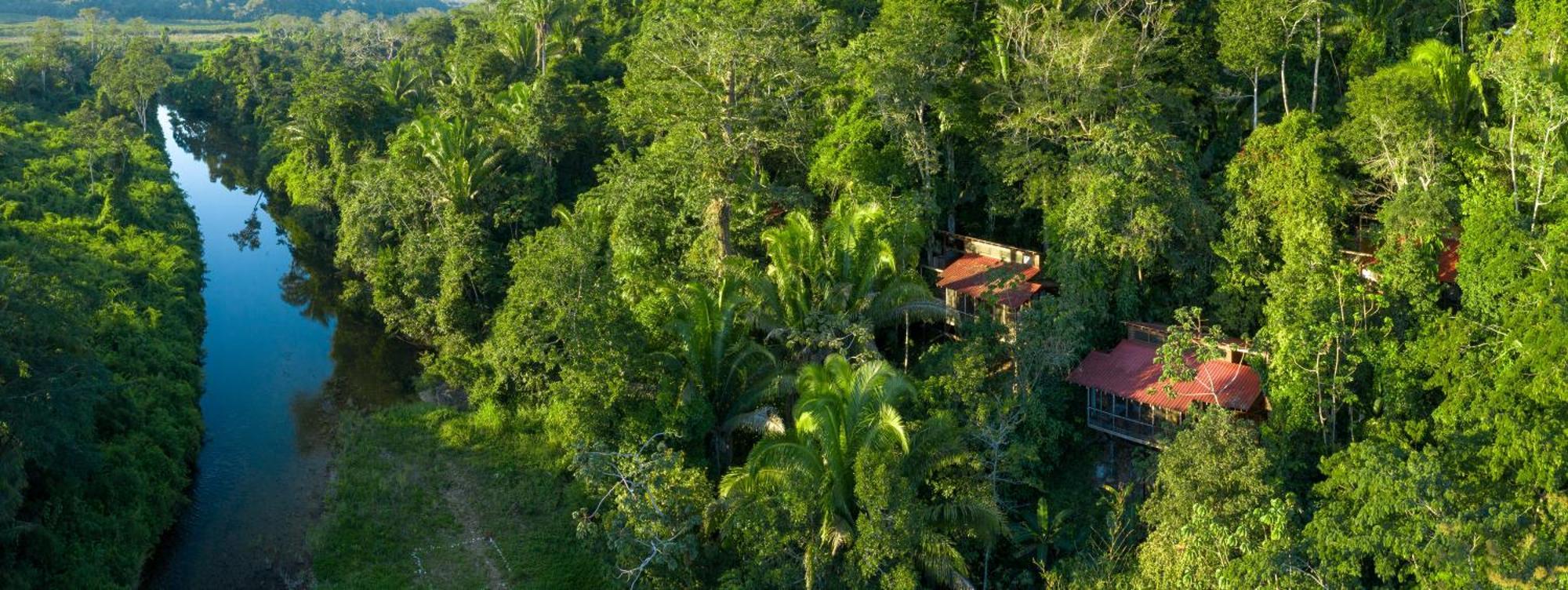 Ian Anderson Caves Branch Jungle Lodge Μπελμοπάν Εξωτερικό φωτογραφία