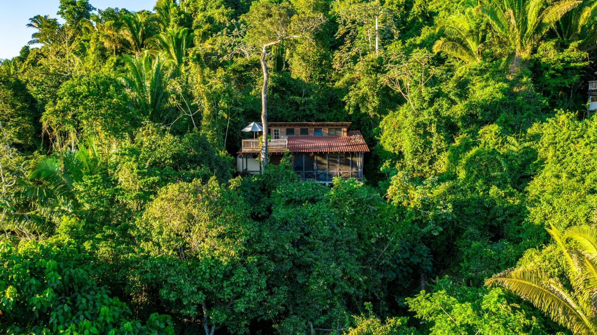 Ian Anderson Caves Branch Jungle Lodge Μπελμοπάν Εξωτερικό φωτογραφία