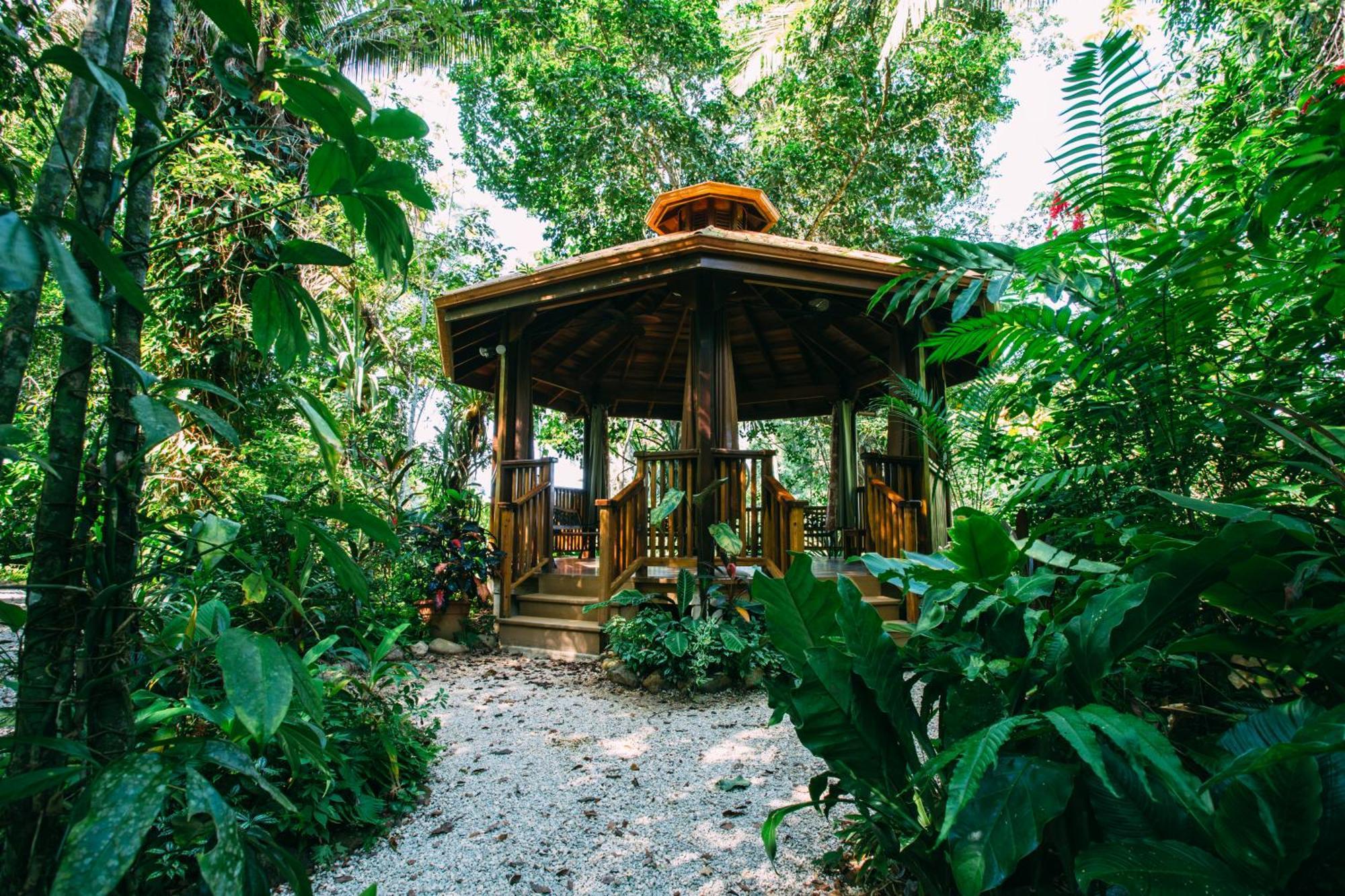 Ian Anderson Caves Branch Jungle Lodge Μπελμοπάν Εξωτερικό φωτογραφία