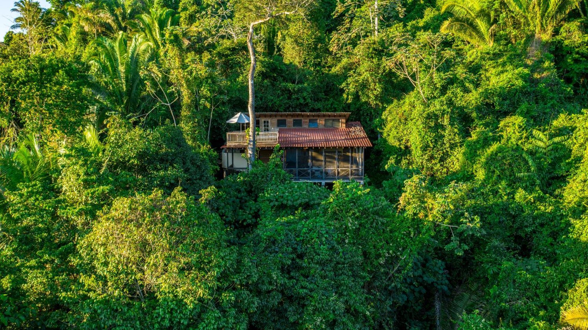 Ian Anderson Caves Branch Jungle Lodge Μπελμοπάν Εξωτερικό φωτογραφία