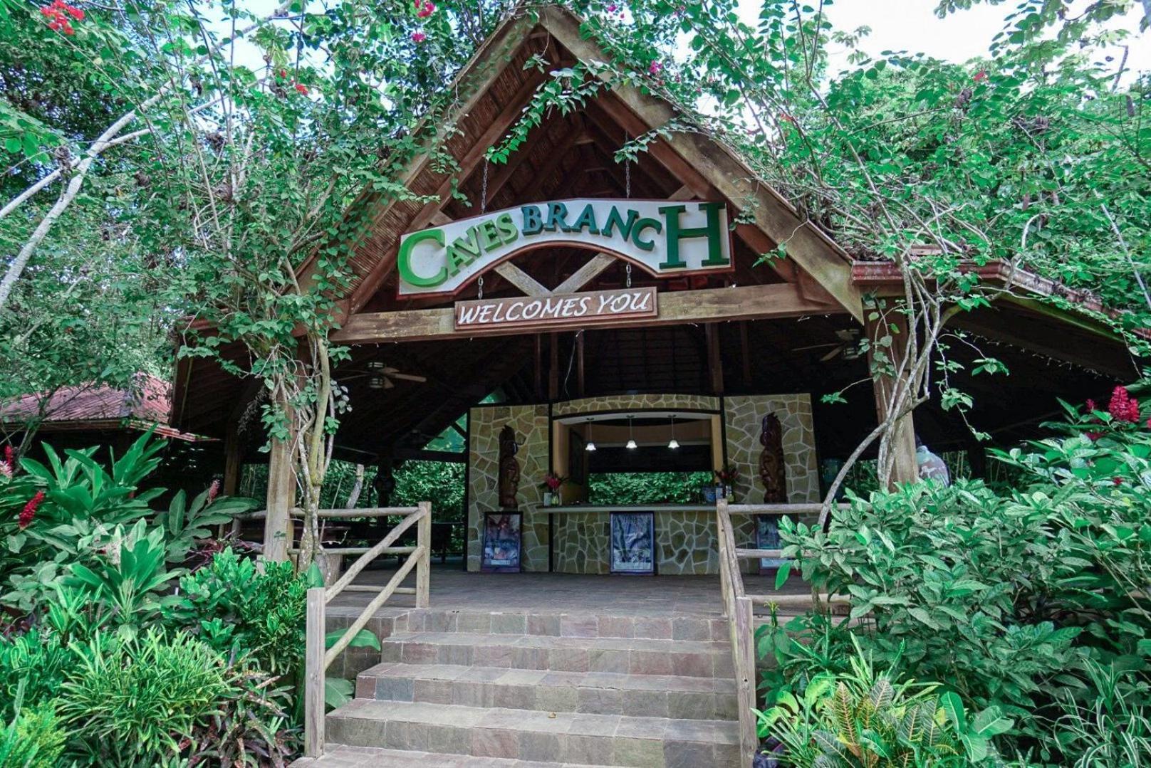 Ian Anderson Caves Branch Jungle Lodge Μπελμοπάν Εξωτερικό φωτογραφία