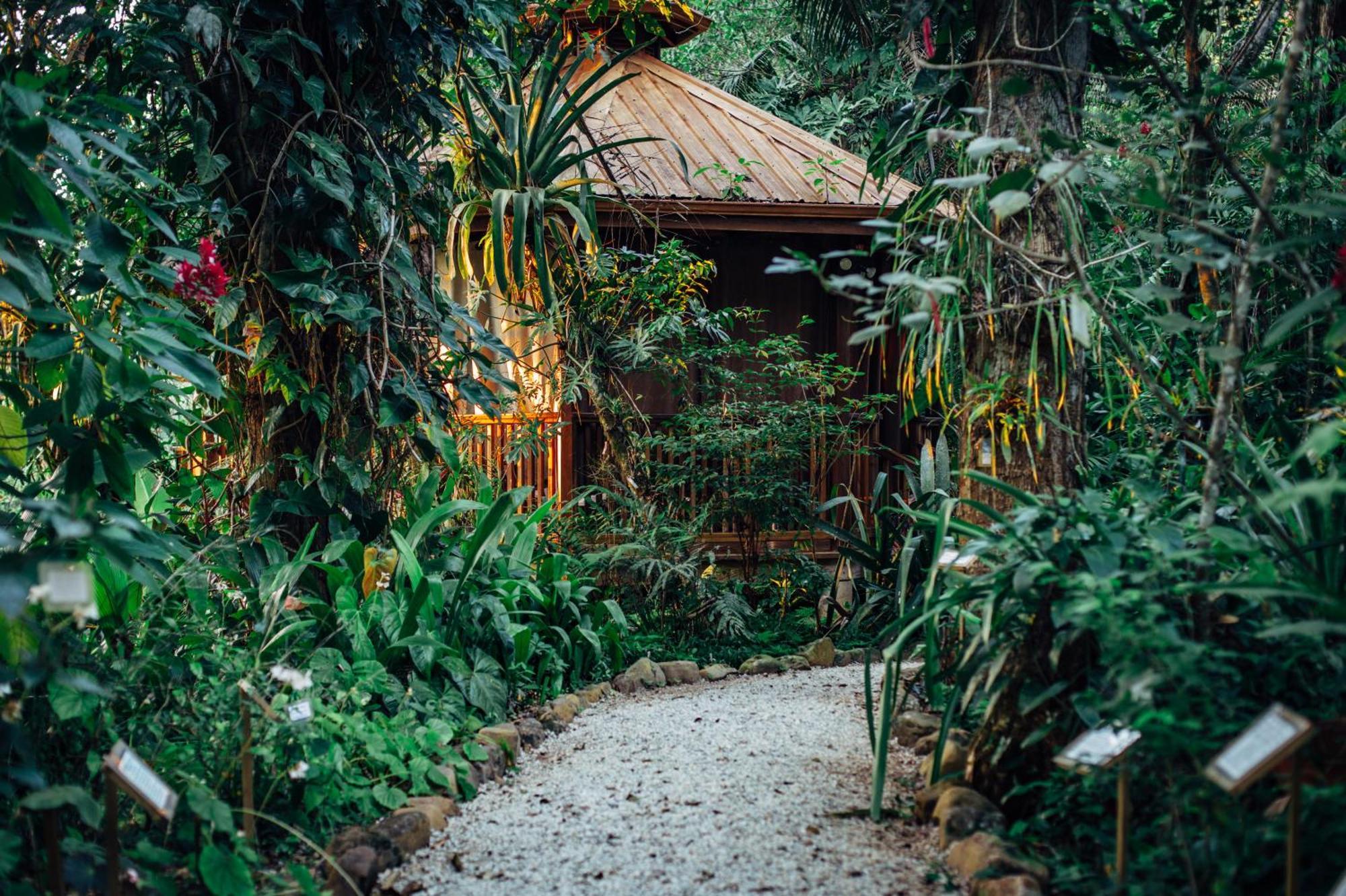 Ian Anderson Caves Branch Jungle Lodge Μπελμοπάν Εξωτερικό φωτογραφία