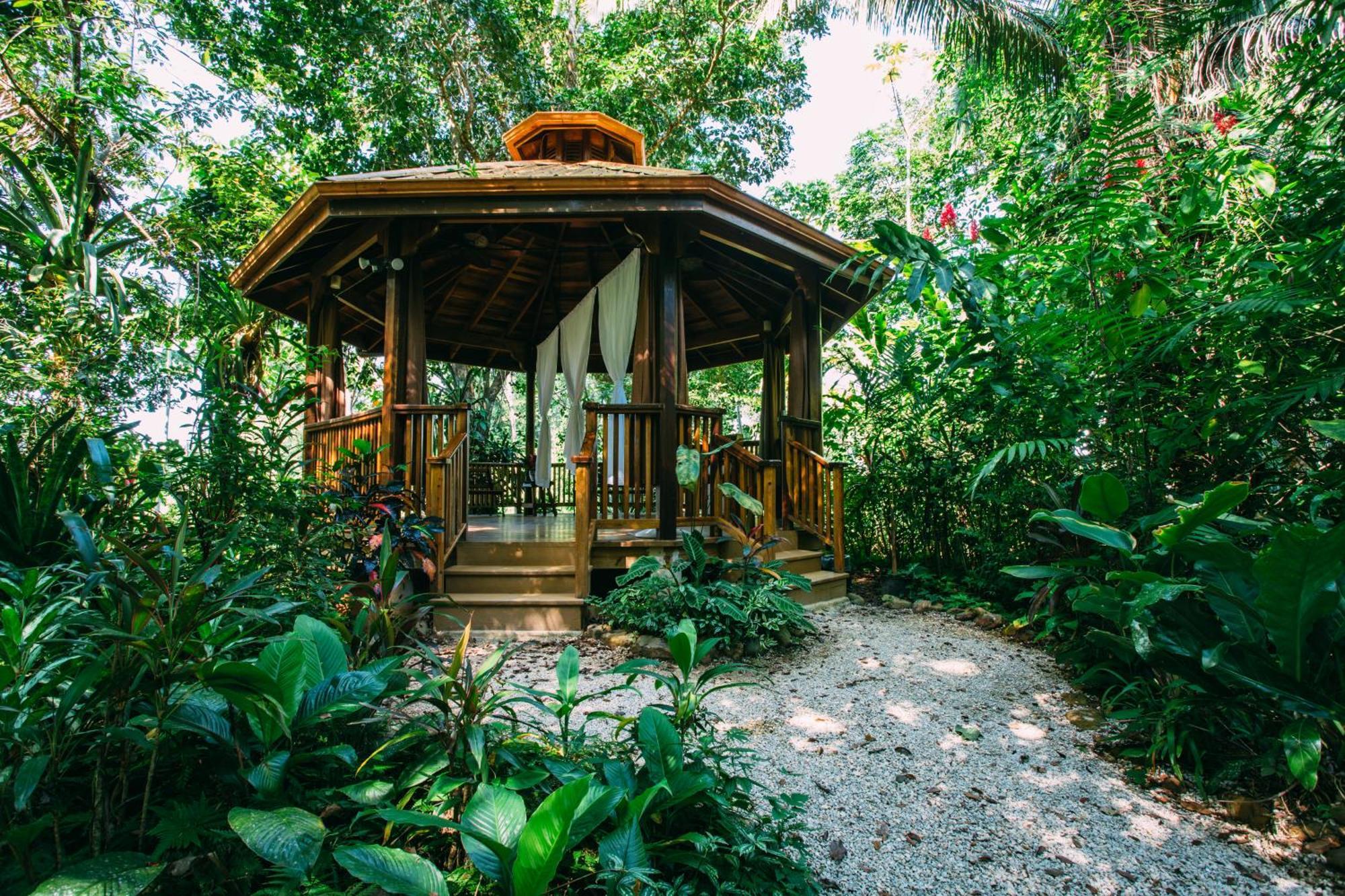 Ian Anderson Caves Branch Jungle Lodge Μπελμοπάν Εξωτερικό φωτογραφία