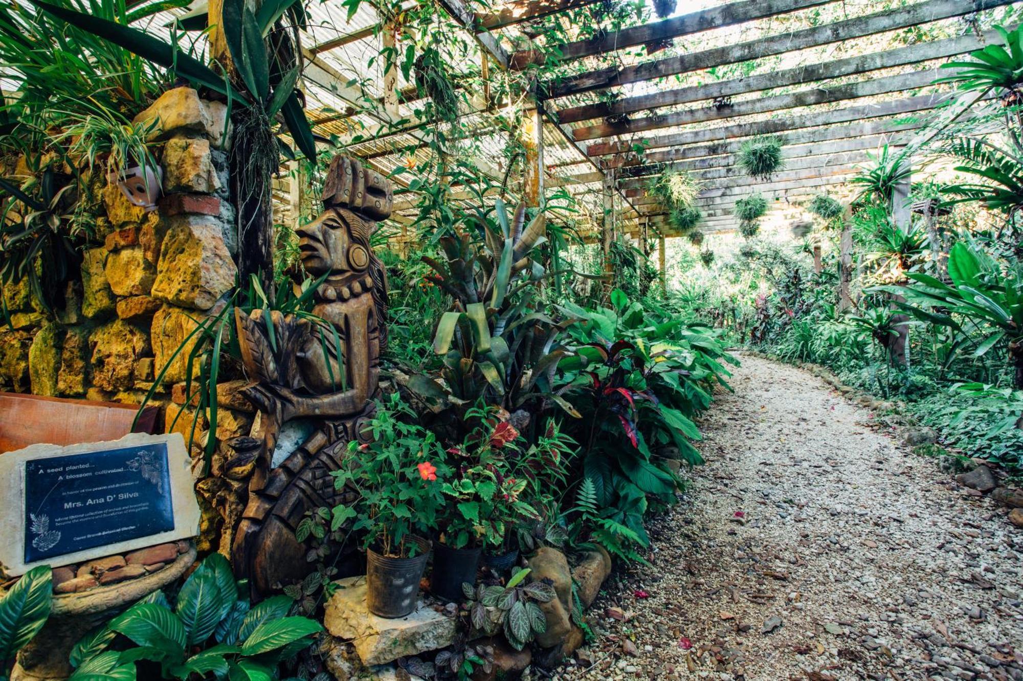 Ian Anderson Caves Branch Jungle Lodge Μπελμοπάν Εξωτερικό φωτογραφία